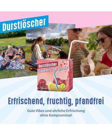  Durstl scher Durstl scher Kirsch Citron Set of 24 drinks with fruit juices 500 ml - Buy Online on GoSupps.com