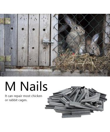 Cage Nails Not Reusable Birds Cage Nails Chicken Pigeons Cages Cages for Home Cages - Buy Online on GoSupps.com