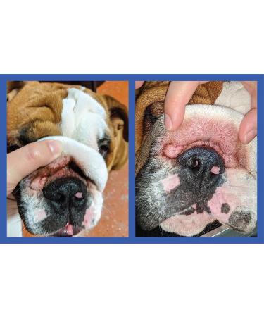 Squishface Wrinkle Paste 2 Oz - Cleans & Protects Dog Wrinkles - Buy Online on GoSupps.com