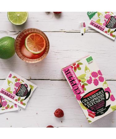 Organic blueberry and raspberry infusion 20 infusion bags - Buy Online on GoSupps.com