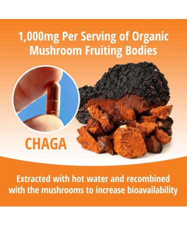 ENCAPSULATE Chaga Capsules 1000mg Premium Organic Fruiting Body 1:1 Mushroom Extract Adaptogen Mushroom Supplement for Antioxidant Digestive Oxidative Stress & Immune Support Vegan 60 Count - Buy Online on GoSupps.com