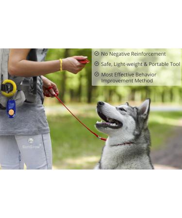 SunGrow Dog Clickers with Wrist Bands 2 Inches Colorful and Practical Set of Simple Convenient and Effective Training Tools for Puppy or Cat 7 Pack United - Buy Online on GoSupps.com