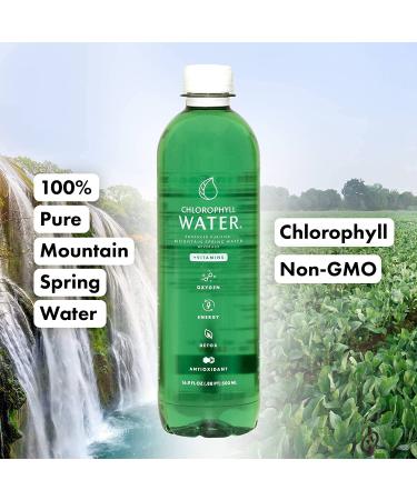 Plant Based Chlorophyll Water with Vitamins A, B12, C, D | Antioxidants & Immune Support | 12pk - Buy Online on GoSupps.com