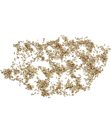 Semillas Ecologicas - Manzanilla Matricaria Chamomilla (0 g - Organic) - Buy Online on GoSupps.com