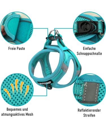 UVTQSSP Lightweight Dog Harness for Small Dogs - Padded XS Puppy Harness with Leash - Light Blue - Buy Online on GoSupps.com