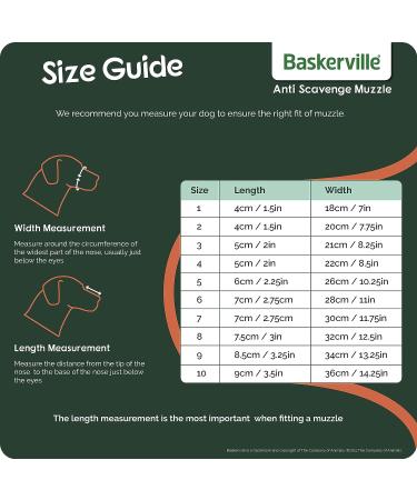 Baskerville Anti-Scavenge Muzzle Size 6 - Breathable & Safe Training Muzzle for Medium Dogs - Buy Online on GoSupps.com