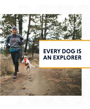 Shop Luffwear Lightweight Dog Harness for Miniature Breeds - Size Adjustable XXXS in Blue Atoll | Hi & Light Harness - Buy Online on GoSupps.com