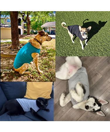 Yaodhaod Cotton Dog Clothing - Soft Breathable T-Shirts for Small & Medium Dogs | Sun Protection | Available in Black & Gray - Buy Online on GoSupps.com