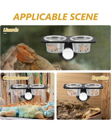 POPETPOP Gecko Feeder Ledge-Small Gecko Food Cups Suction Cup Reptile Feeder for Reptiles Food and Water Feeding Size 2 - Buy Online on GoSupps.com