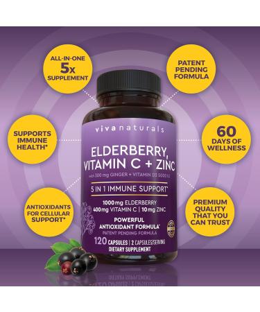 Viva Naturals Elderberry Immune Support Supplement - 120 Vegan Capsules for Immunity Boost - Buy Online on GoSupps.com