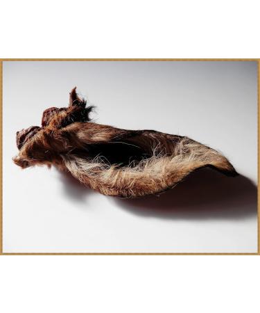 DriedDogTreats 10 ears 100% PURE FURRY DOE ROE-DEER VENISON EARS - treats chews snack NATURAL hypoallergenic - Buy Online on GoSupps.com