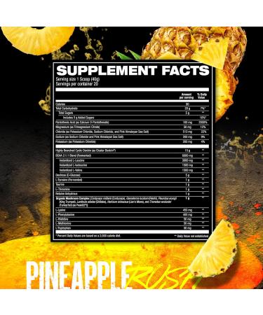 HOSSTILE Intra R3 Intra Workout Powder EAA & BCAA Drink with Carbs Enhance Energy & Endurance Build Lean Muscle & Improve Recovery Pineapple Rush 20 Servings Pineapple 1.75 Pound (Pack of 1) - Buy Online on GoSupps.com