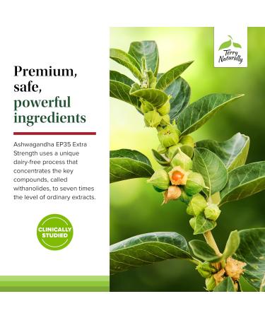 Terry Naturally Ashwagandha EP35 Extra Strength - Herbal Supplement for Sleep Support - Aid Healthy Stress Response - Endurance & Energy Support - 60 Capsules (60 Servings) - Buy Online on GoSupps.com