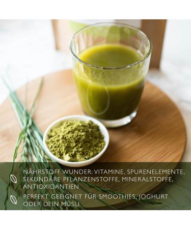 Organic Gerstengrass Powder 900g - Vegan Barley Grass from Bavaria | Bio Quality Lab Tested International Shipping - Buy Online on GoSupps.com