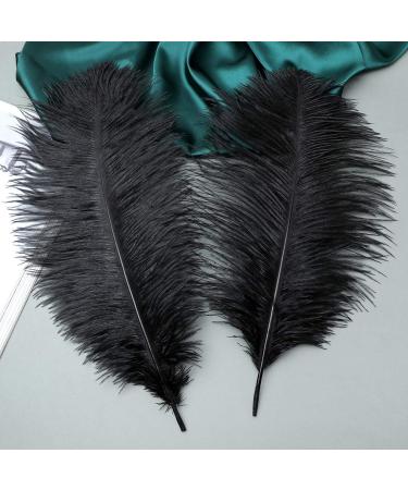 24pcs Natural Black Ostrich Feathers 10-12inch for Wedding & Home Decor - Buy Online on GoSupps.com