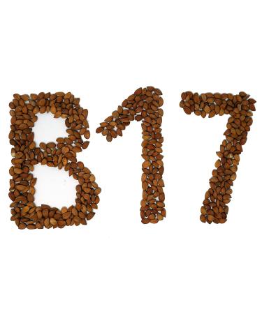 Arashan Apricots Seeds - Dried Sweet Raw Apricot Kernels from Ferghana Valley | 1 LB Pack | Sundried with 60% Oil Content - Buy Online on GoSupps.com