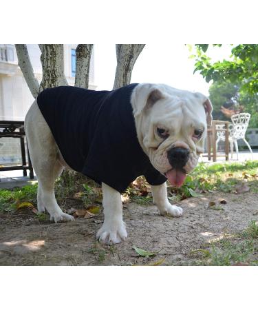 Lovelonglong Bulldog Clothes 100% Cotton Blank T-Shirt for French, English Bulldogs, American Pit Bulls, Pugs - Skin Care Black B-XL (for Bulldog -50lbs) - Buy Online on GoSupps.com