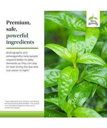 Terry Naturally Andrographis and Ashwagandha - Immune System Support Supplement - Support Energy & Healthy Stress Response - Energy Support Supplement - 60 Capsules (60 Servings) - Buy Online on GoSupps.com