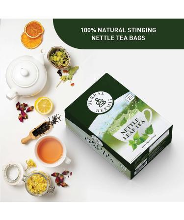 Stinging Nettle Leaf Tea - 25 Individually Wrapped Tea Bags with Natural Wild Nettle Herb - Buy Online on GoSupps.com