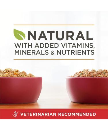 Purina ONE Classic Ground Wet Dog Food Variety Pack 2 Flavours - 368 g Can (6 Pack) - Buy Online on GoSupps.com