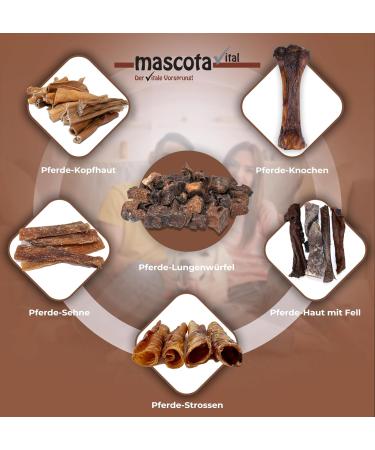 mascota vital - Horse ribs 200 g 100% horse gently dried suitable for nutrition-sensitive dogs (horse ribs) - Buy Online on GoSupps.com