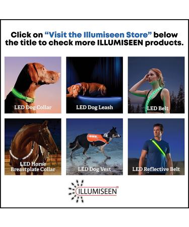 Illumiseen LED Dog Collar USB Rechargeable - Neon Green Large (L) 19-24 - High Visibility Light for Night Walking - Buy Online on GoSupps.com