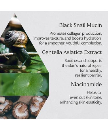MIZON Black Snail All In One Cream - Premium Korean Skin Care for Intensive Wrinkle & Firming Care - 2.5 Fl Oz (Pack of 1 - Buy Online on GoSupps.com