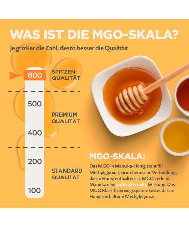 Buy Manuka Honey 800+ MGO 500g - Premium Quality New Zealand Honey | NaturalPi - Lab Tested Methylglyoxal - Buy Online on GoSupps.com