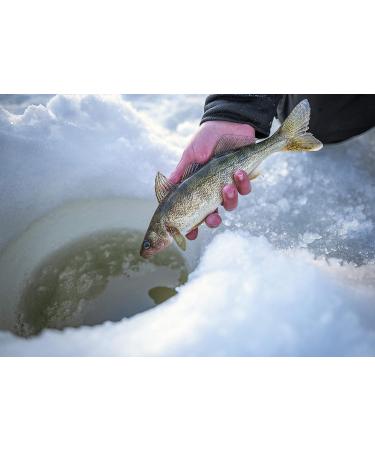 Shakespeare Ugly Stik GX2 Ice Fishing Rod 30 - Medium Heavy | Durable Rod for Ice Fishing - Buy Online on GoSupps.com