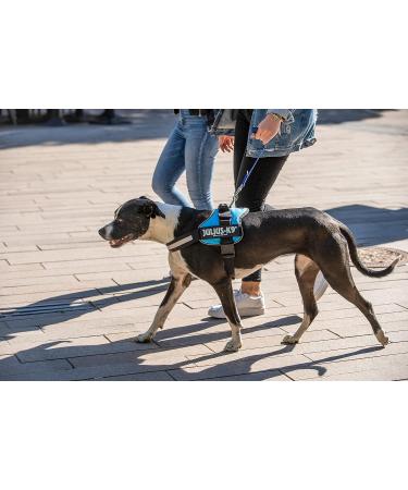 K9 Powerharness XL/2 Aquamarine - Durable & Comfortable Dog Harness for All Sizes | International Shipping Available - Buy Online on GoSupps.com
