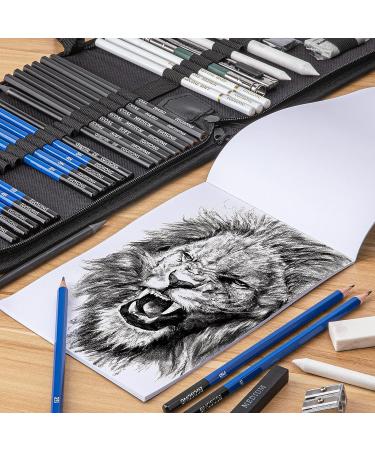 EGOSONG 41-Piece Drawing Set with Sketchbook - Sketching and Shading Kit for Adults, Teens, and Beginners - Buy Online on GoSupps.com