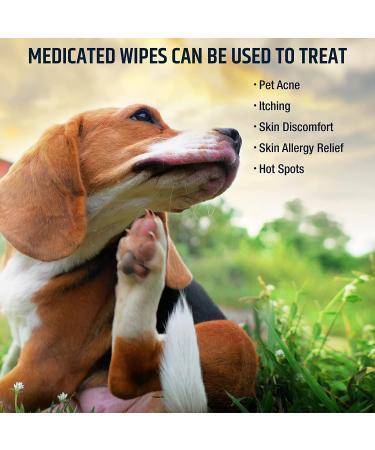 Pet MD Chlorhexidine Wipes with Ketoconazole and Aloe - 50 Count for Cats and Dogs - Buy Online on GoSupps.com