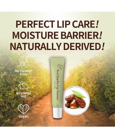 Real Jojoba Lip Essence Serum - Hydrating & Anti-Aging Moisturizer | Natural Ingredients Non-Sticky Travel Size (0.5 Fl oz - Buy Online on GoSupps.com