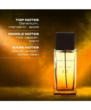 Red Amber - 3.4 Oz Eau De Toilette - Fragrance Mist For Men - Spicy Oriental Scent - Cologne Spray With Apple Pepper Geranium Tonka Wood Accords - Buy Online on GoSupps.com