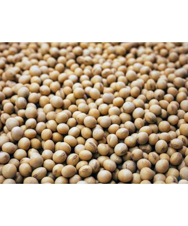 Kamelur 1kg Organic Soybeans - EU Grown Additive-Free Non-GMO Soybeans for Healthier Cooking - Buy Online on GoSupps.com
