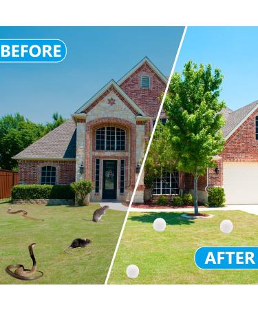 Peppermint Oil Rodent Repellent Balls - 8-Pack for Mouse and Rat Repellent Indoors & Outdoors - Buy Online on GoSupps.com