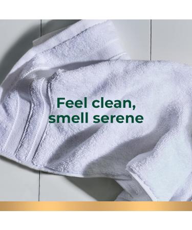 Irish Spring Men's Original Clean Body Wash 4 Pack - 20 Oz Bottle | Biodegradable Ingredients | 24-Hour Freshness - Buy Online on GoSupps.com