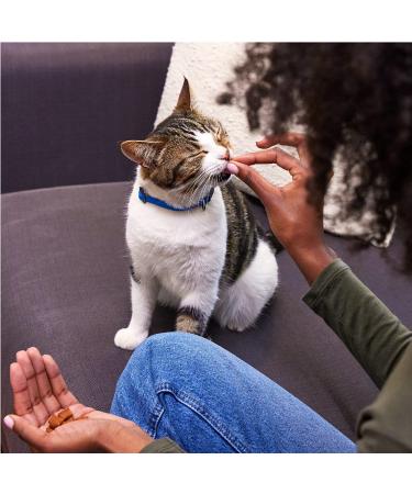 TEMPTATIONS Seafood Medley Cat Treats - Crunchy & Soft, Multiple Sizes - 1.9lb Pack - Buy Online on GoSupps.com