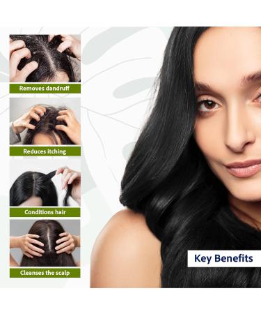 Sri Sri Ayurveda Anti Dandruff Shampoo 200 ml - Effective Solution for Beautiful Hair | International Shipping Available - Buy Online on GoSupps.com
