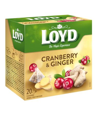 LOYD Tea - Cranberry with Ginger (6 Pack)