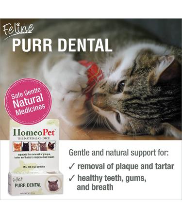 HomeoPet Feline Purr Dental Care for Cats - 15mL - Buy Online on GoSupps.com