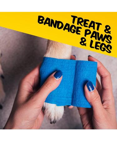 PawPride Portable Pet First Aid Kit - 47 Piece Dog Walking Accessory for Safety on the Go - Buy Online on GoSupps.com