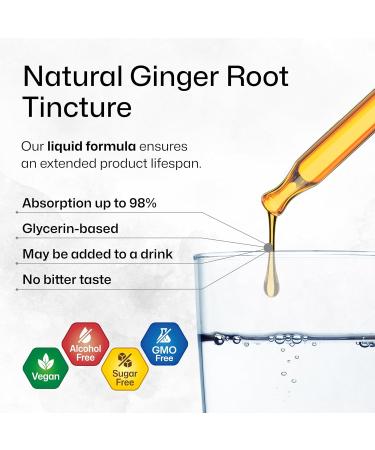 BIO KRAUTER Ginger Root - Liquid Drops Ginger Extract 655 mg per Serving 4 Fl.Oz 56-Day Supply - Pure Vegan Zingiber Officinale for Digestive Support & Daily Wellness - Alcohol & Sugar Free 4 Fl Oz (Pack of 1) - Buy Online on GoSupps.com