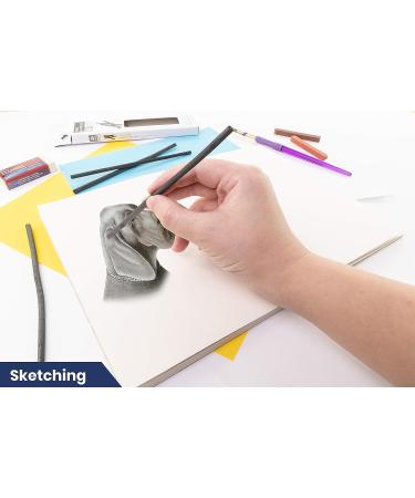 Pacific Arc Artist Vine Charcoal Soft Black Sticks - 12 Piece Set for Extra Smooth Drawing - Buy Online on GoSupps.com