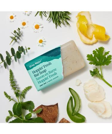 Ursa Major Morning Mojo Bar Soap 2-Pack - Exfoliating Soap with Peppermint, Eucalyptus, and Rosemary for Men and Women - 5 oz - Buy Online on GoSupps.com