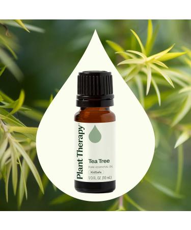 Plant Therapy Tea Tree Essential Oil 100% Pure Undiluted Natural Aromatherapy Therapeutic Grade 10 mL (1/3 oz) - Buy Online on GoSupps.com