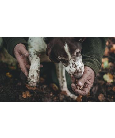Tealdi White Tartuffon Truffle Cream - Premium Italian White Truffle & Porcini Mushroom Spread (80g) - International Shipping Available - Buy Online on GoSupps.com