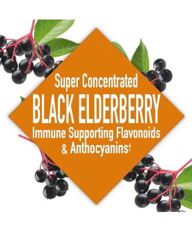 Super Concentrated Black Elderberry: Immune System Support, Rich in Antioxidants - 8 Fl Oz - Buy Online on GoSupps.com
