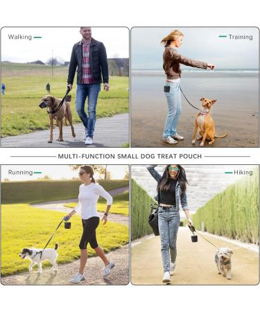 AEMIAO Dog Treat Pouch - Small Magnetic Closure Training Bag for Pet Puppy Walking - Includes Carabiner - Grey - Buy Online on GoSupps.com