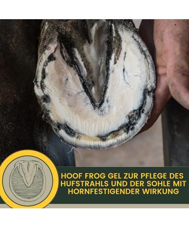 Fork care for horses I Fork protection Hoof care I Clog fork sole I Fork gel I Fork rot prevention I against moisture 100 ml - Buy Online on GoSupps.com
